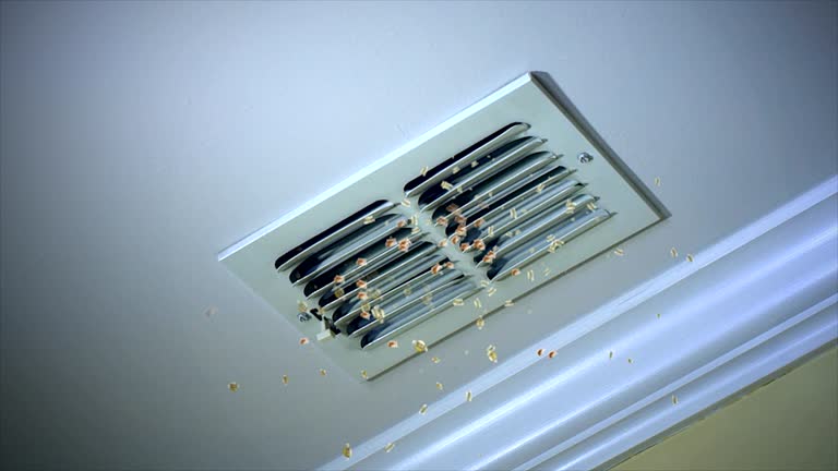 Best Emergency Air Duct Cleaning  in Bloomingdale, FL