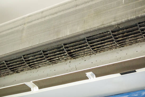 Best Professional Duct Cleaning Services  in Bloomingdale, FL